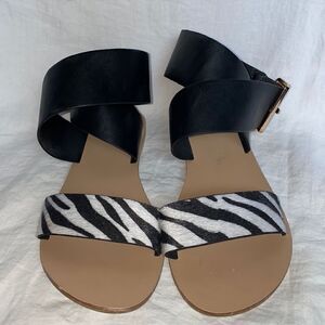 PRIMA DONNA COLLECTION Zebra Strappy Sandal-36